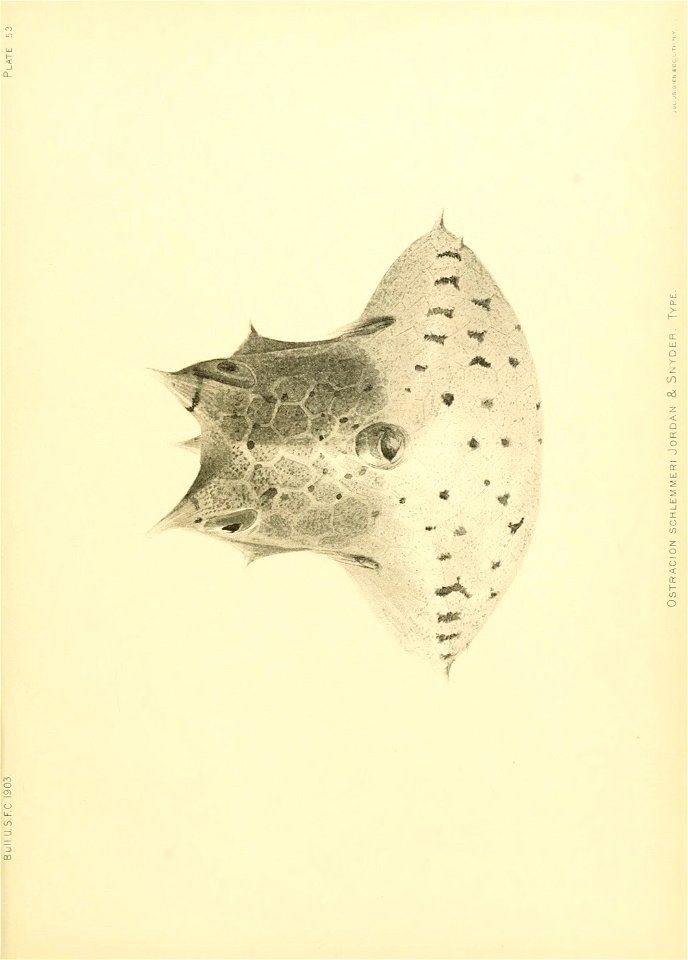 n584_w1150