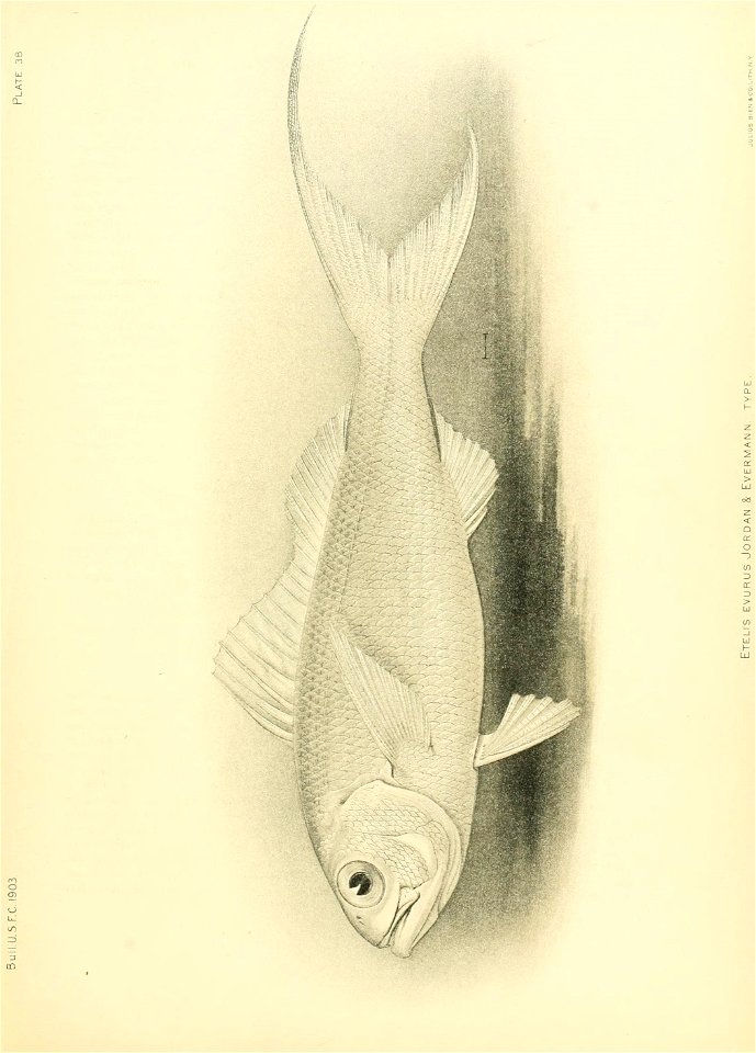n352_w1150