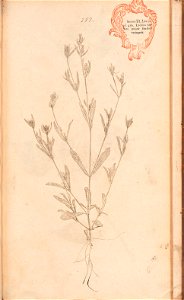 n598_w1150