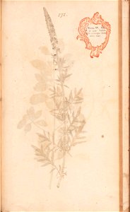 n568_w1150