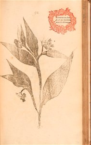 n208_w1150