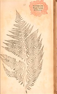 n178_w1150