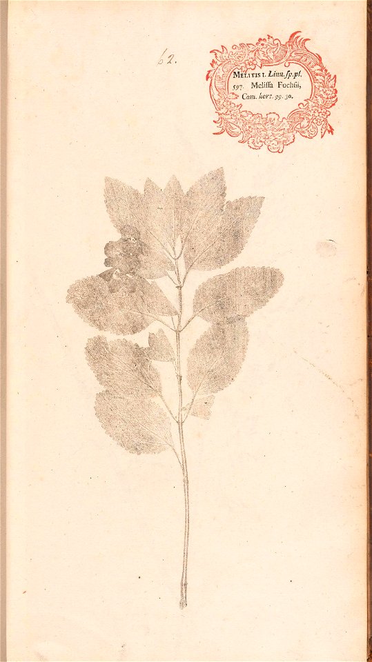 n148_w1150
