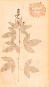 n88_w1150
