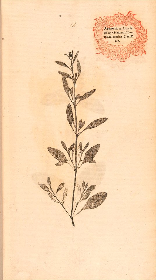 n58_w1150