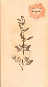 n58_w1150
