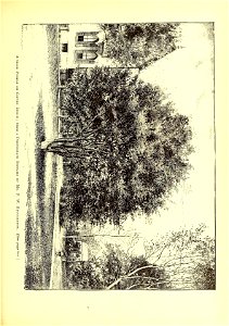 n628_w1150