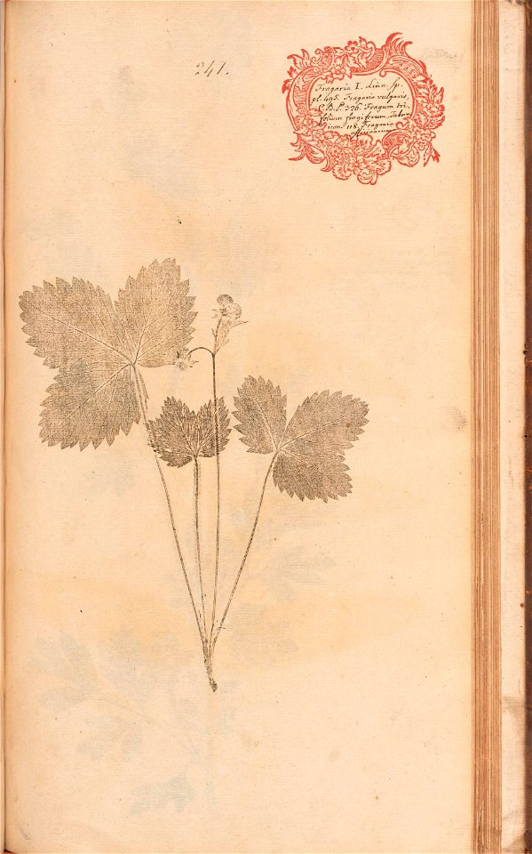 n506_w1150