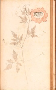 n476_w1150