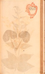 n446_w1150