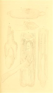 n122_w1150