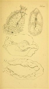 n156_w1150