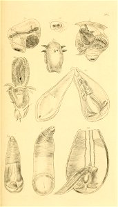 n120_w1150