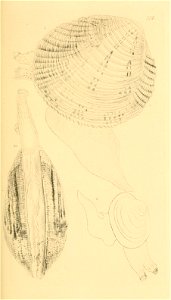 n60_w1150
