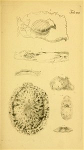 n154_w1150