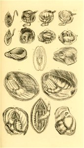 n148_w1150