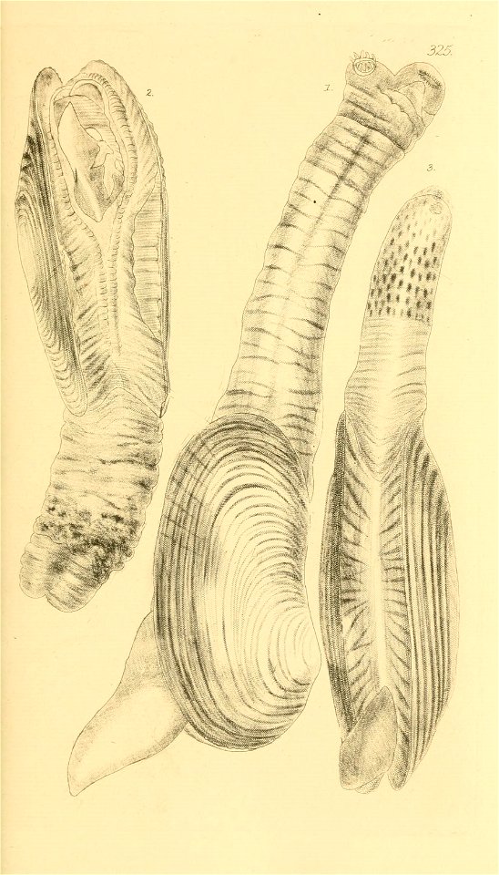 n88_w1150