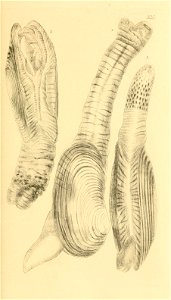 n88_w1150