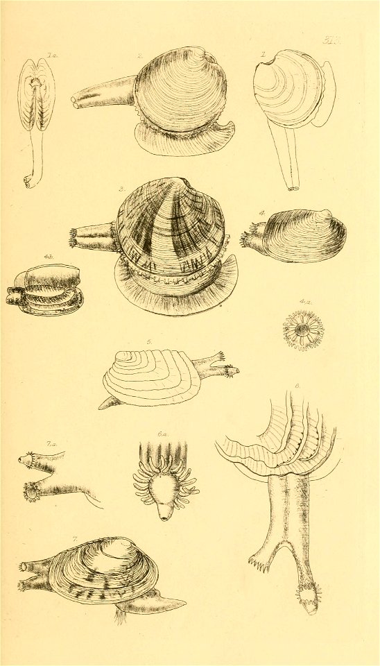 n58_w1150