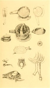 n58_w1150