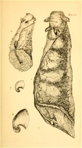 n160_w1150
