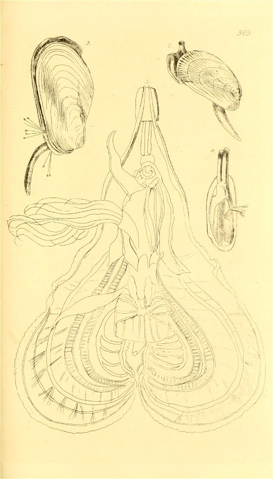 n176_w1150