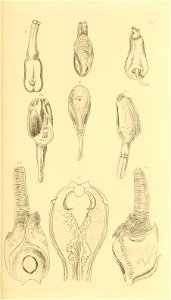 n116_w1150