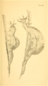 n246_w1150