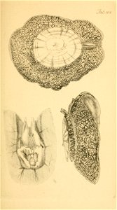 n216_w1150