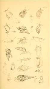 n126_w1150
