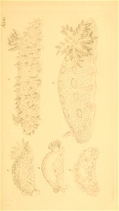 n160_w1150
