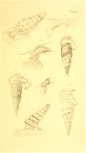 n130_w1150
