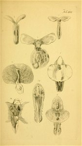 n116_w1150