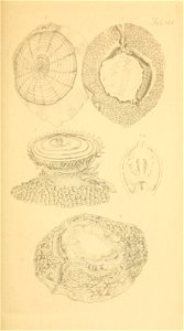 n214_w1150