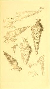 n128_w1150