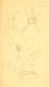 n98_w1150