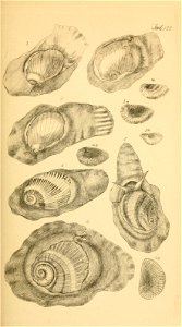 n122_w1150