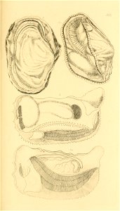 n168_w1150