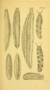 n172_w1150