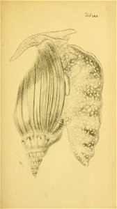 n142_w1150