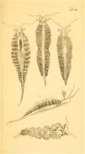 n270_w1150