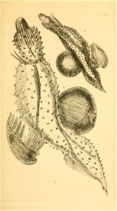 n210_w1150
