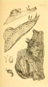 n180_w1150