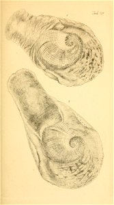 n120_w1150