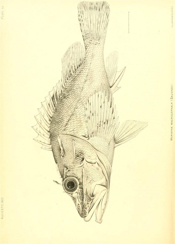 n605_w1150