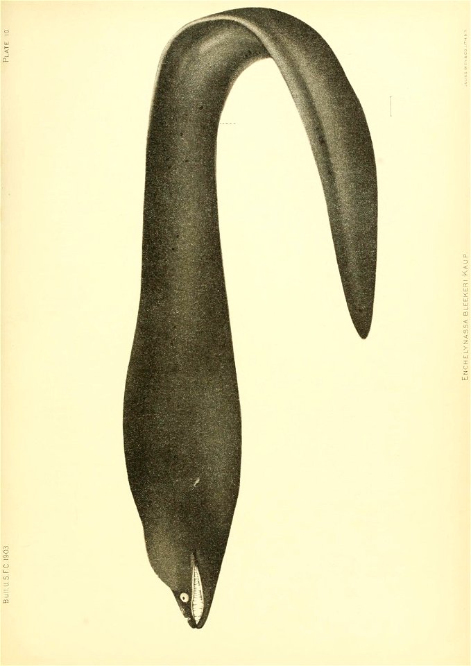 n144_w1150