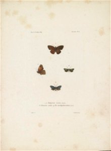 n112_w1150
