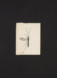n58_w1150