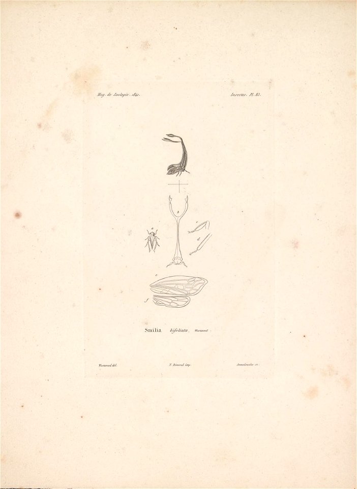 n50_w1150
