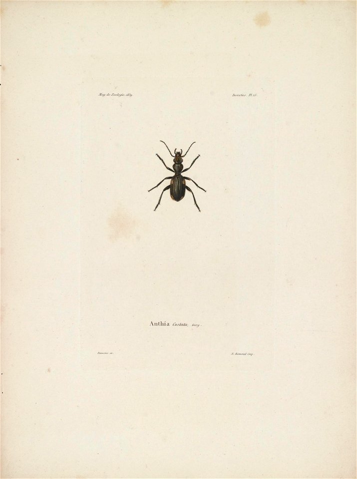 n156_w1150